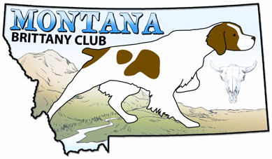 Montana Brittany
                Club